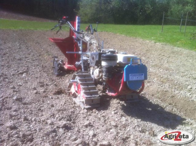 ferro su BCS 740 con seminapatate Marte